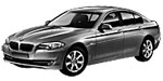 BMW F10 B2025 Fault Code